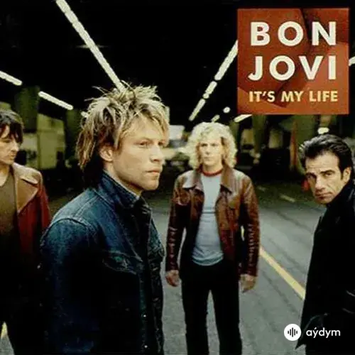 Bon  Jovi  - It's My Life