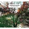 Ludovico Einaudi - Time Lapse