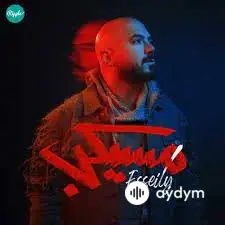 Mahmoud  El Esseily - Mesaykeb