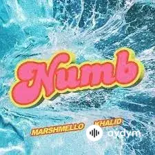Marshmello -Khalid  - Numb