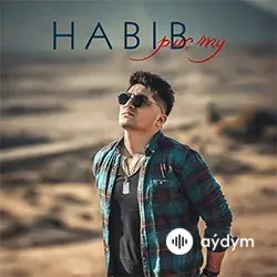 Habib -Baýram Nobatow - Saýawan