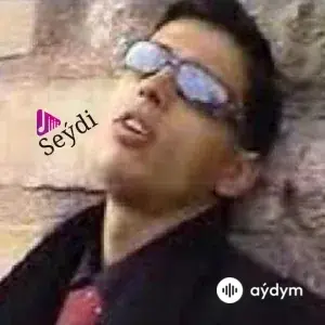 Seýdi     - Aýnam