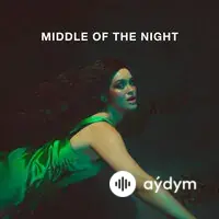 Middle Of The Night 