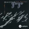 Marvin Gaye - Ain't No Mountain High Enough