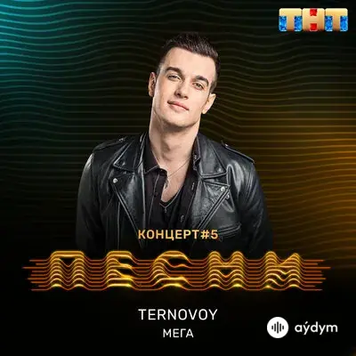 Terry  - Мега