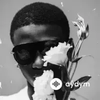 WizKid  - Bad To Me 