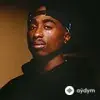2pac  - Ballad Of A Dead Soulja - Album Version (Edited)
