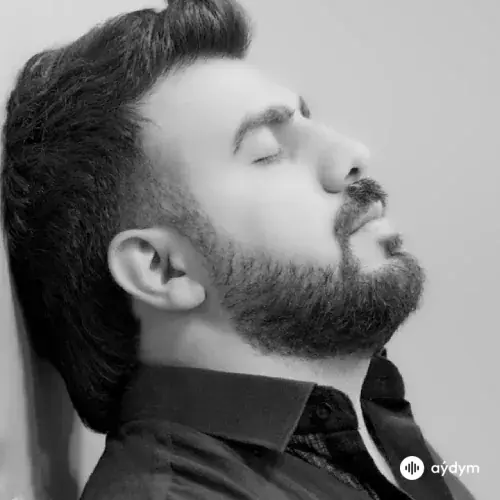 Şöhret Memmedov - Get