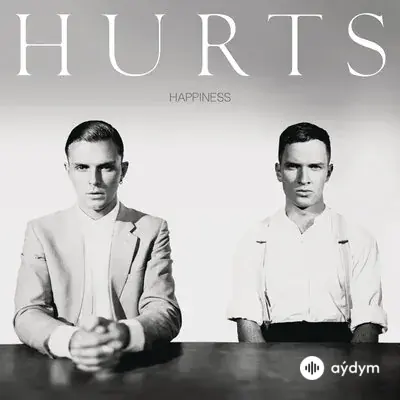 Hurts - Wonderful Life