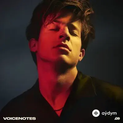 Charlie Puth - Empty Cups