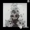 Linkin Park  - Lost in the echo