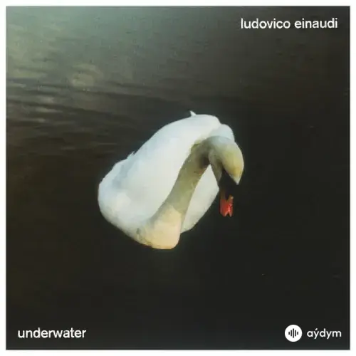 Ludovico Einaudi - Luminous