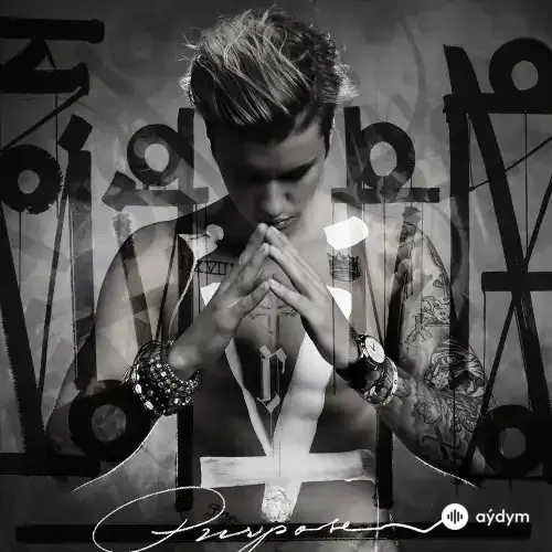 Purpose (2015)