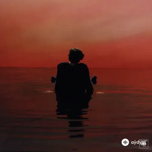 Harry Styles