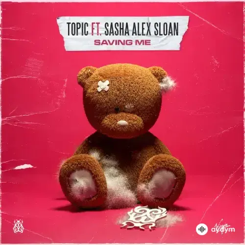 Topic-Sasha Alex Sloan  - Saving Me