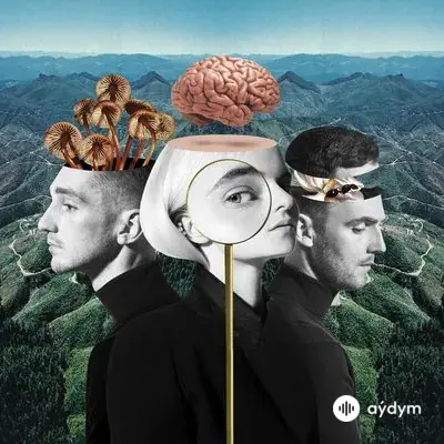 Clean Bandit-Zara Larsson - Symphony