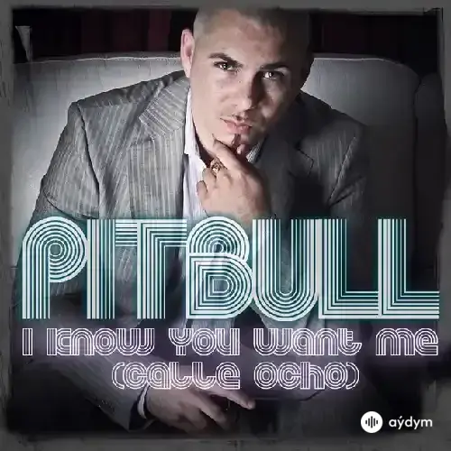 Pitbull - I Know You Want Me