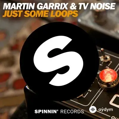 Martin Garrix - Just Some Loops - & TV Noise