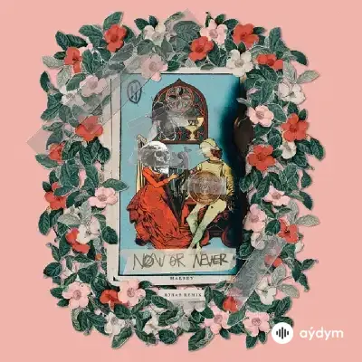 Halsey  - Now Or Never