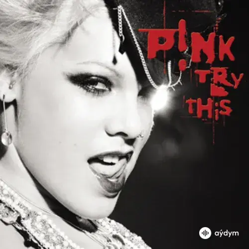 Pink - Trouble