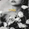 Täze Ýüz -Carvillo  - Tomus