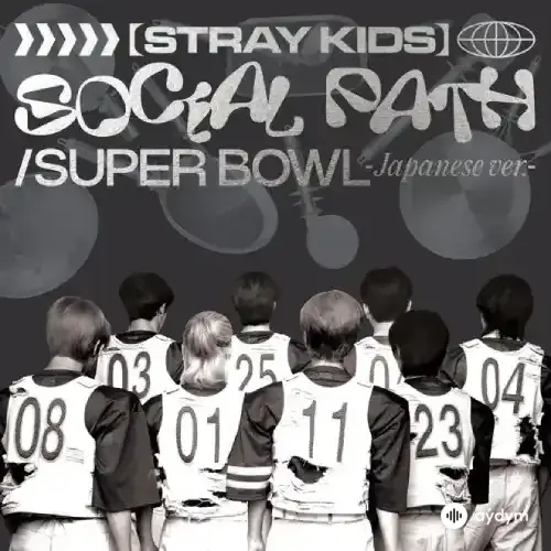 Stray Kids -LiSa  - Social Path