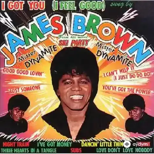 James Brown - I Got You (I Feel Good)