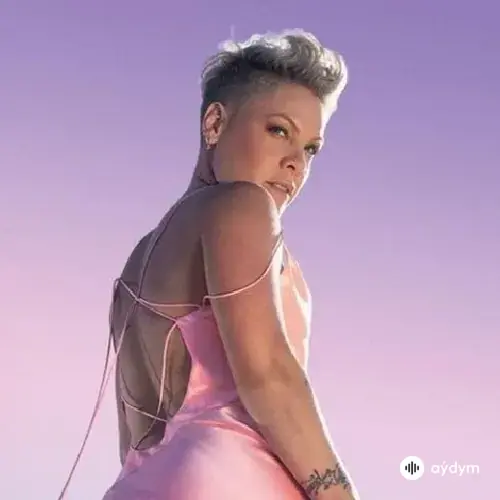 Pink - All Out Of Fight