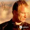 Sting - Desert Rose