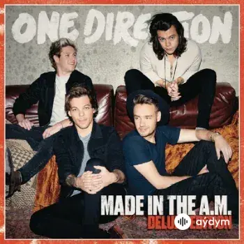 One Direction - End Of The Day