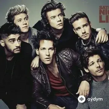 One Direction - Through the Dark
