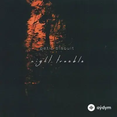 Petit Biscuit  - Night Trouble 