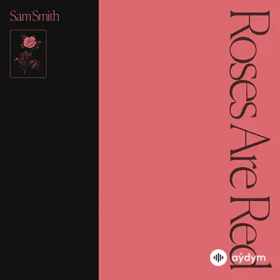 Sam Smith-Normani  - Dancing With A Stranger