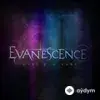 Evanescence - What You Want