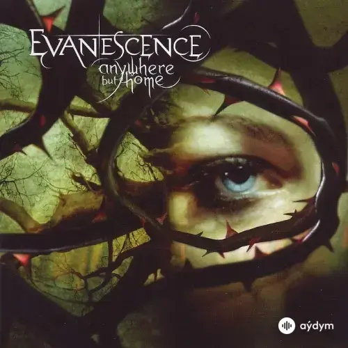 Evanescence - Haunted (Live in Europe)