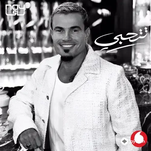 Amr Diab  - Tetehabi 