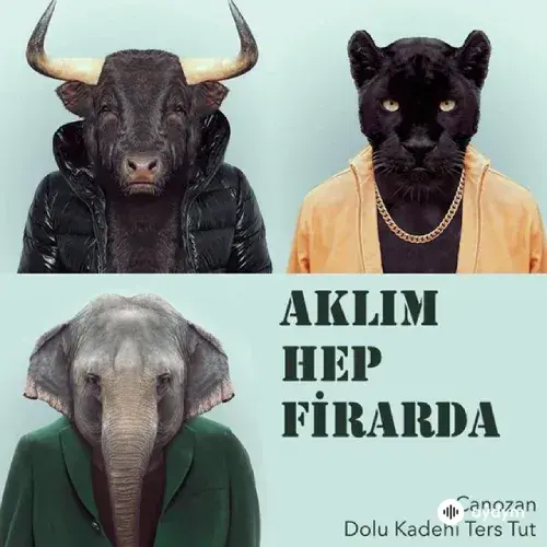 Dolu Kadehi Ters Tut - Aklım Hep Firarda