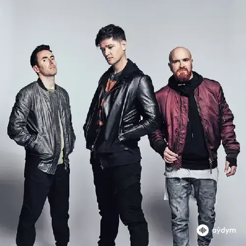 The Script