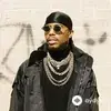 B.o.B - The Elephant