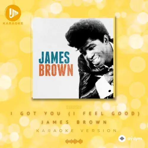 I Got You (I Feel Good)