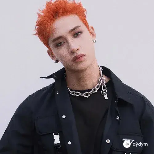 Bang  Chan