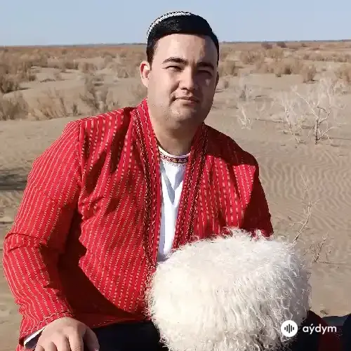 Allaberdi Amanow - Ýar Gerekdir