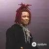Kid Cudi-Trippie Redd - Rockstar Knights (with Trippie Redd)