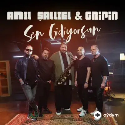Gripin -Anıl  Şallıel - Sen Gidiyorsun