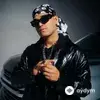 Joaquín  Medina - Farandula