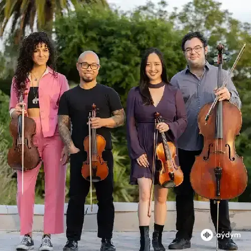 Vitamin String Quartet 