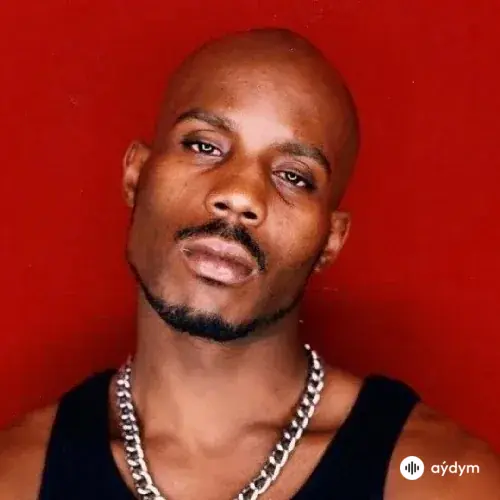 DMX 