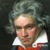 Ludwig van Beethoven-François-Xavier Roth-SWR Symphonieorchester - Symphony No. 7 in A Major, Op. 92: II. Allegretto