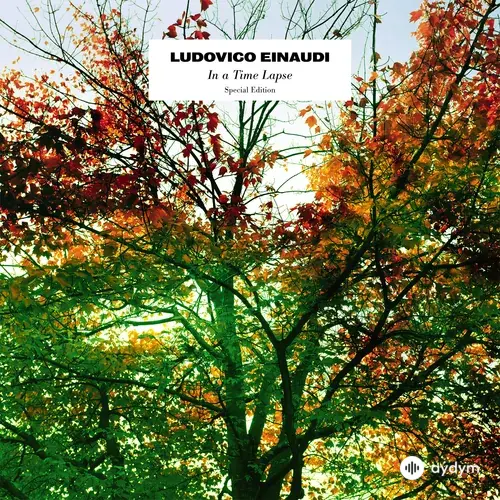 Ludovico Einaudi-Daniel Hope -I Virtuosi Italiani  - Life