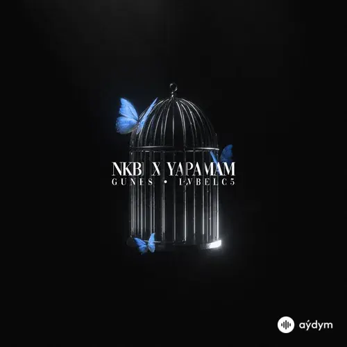 Lvbel C5 -Güneş - Nkbi X Yapamam
